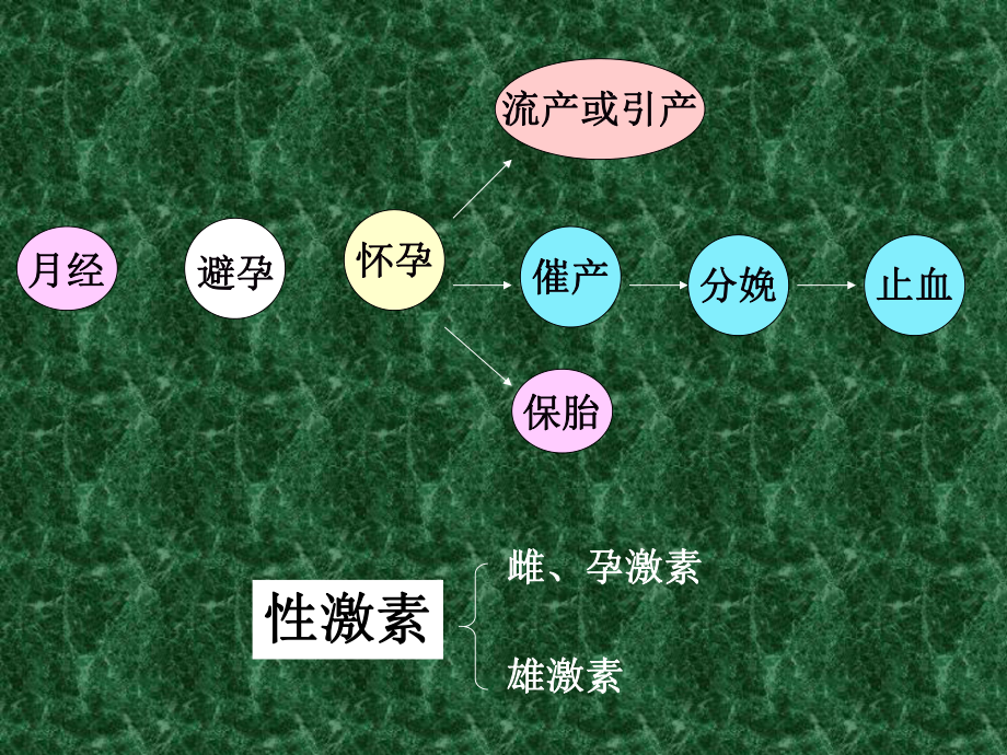 性激素类药物及避孕药课件.ppt_第2页