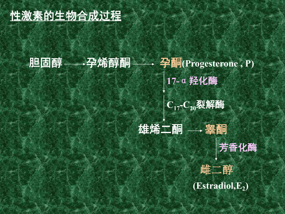 性激素类药物及避孕药课件.ppt_第3页