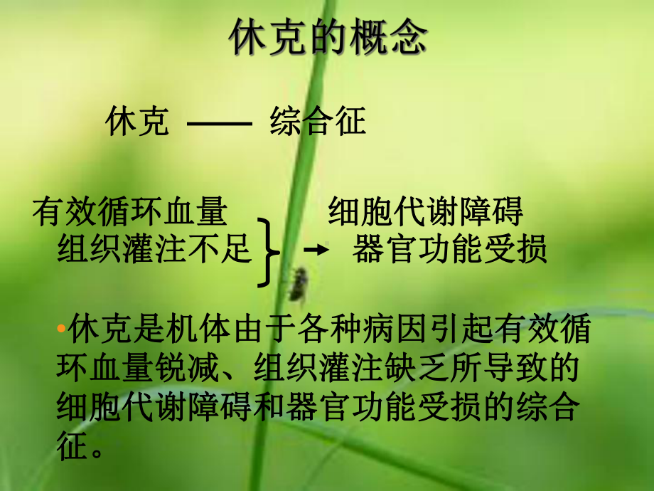 休克患者的观察及护理课件.pptx_第2页