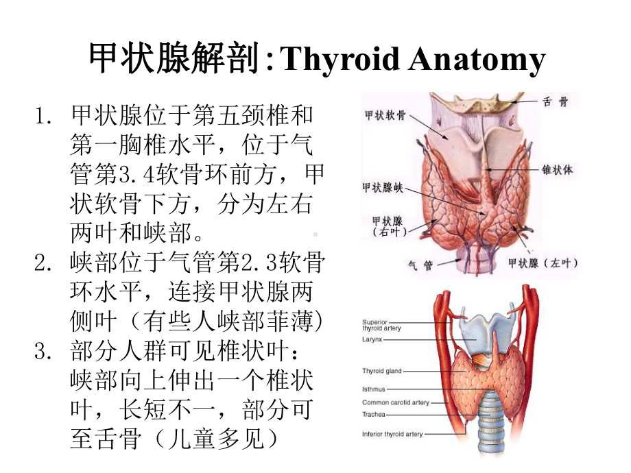 甲状腺超声诊断标准课件.pptx_第2页