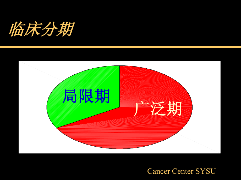 小细胞肺癌现状与进展课件.ppt_第2页