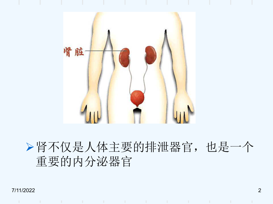 慢性肾小球肾炎(教学)课件.ppt_第2页