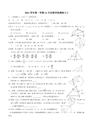 浙江省杭州市余杭区中泰 2020-2021学年九年级数学上册12月份教学检测2.docx