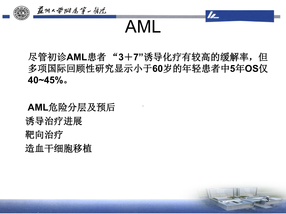 AML的治疗进展ppt课件.ppt_第3页