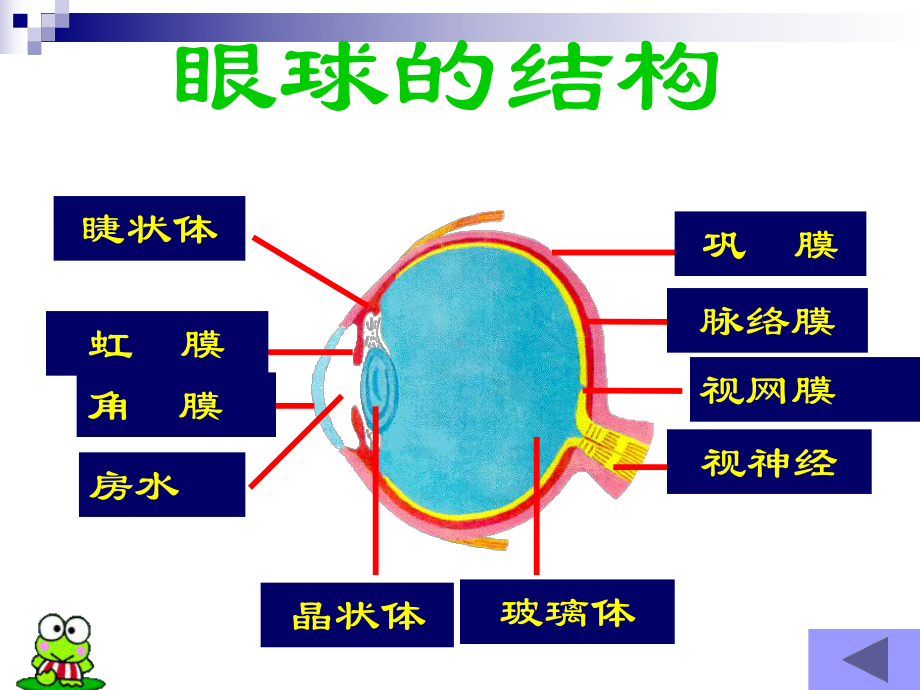 青少年近视眼的防治资料课件.ppt_第2页