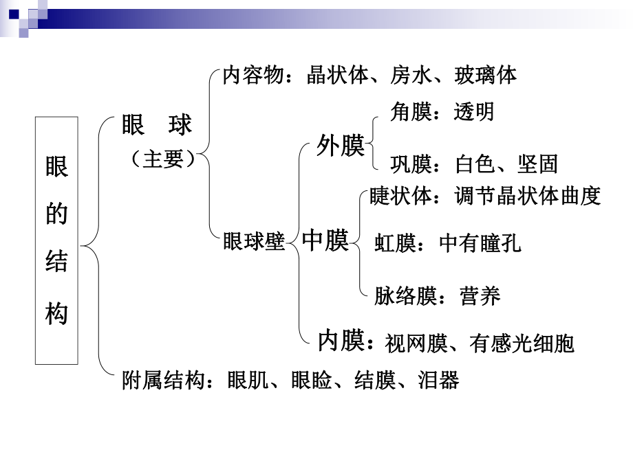 青少年近视眼的防治资料课件.ppt_第3页