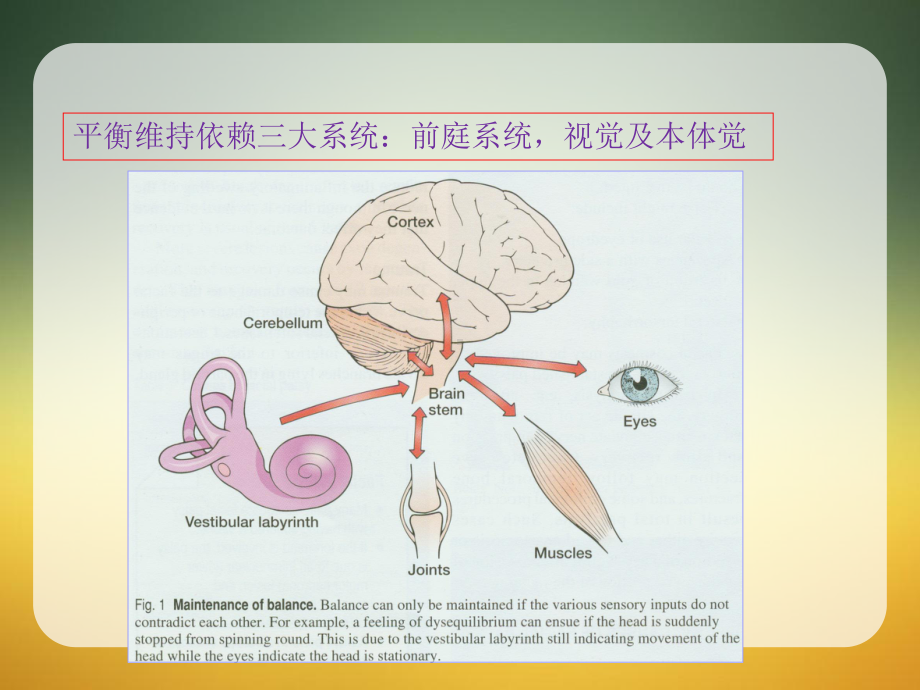 良性阵发性位置性眩晕的中西结合治疗课件.ppt_第2页