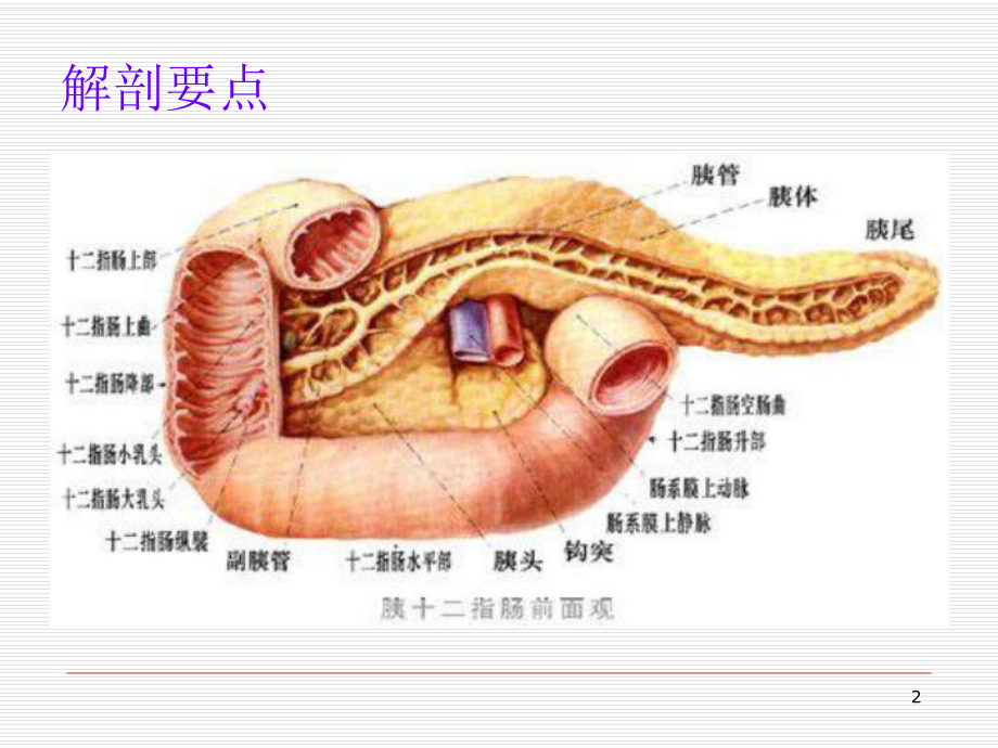 急性胰腺炎患者的护理PPT课件.ppt_第2页