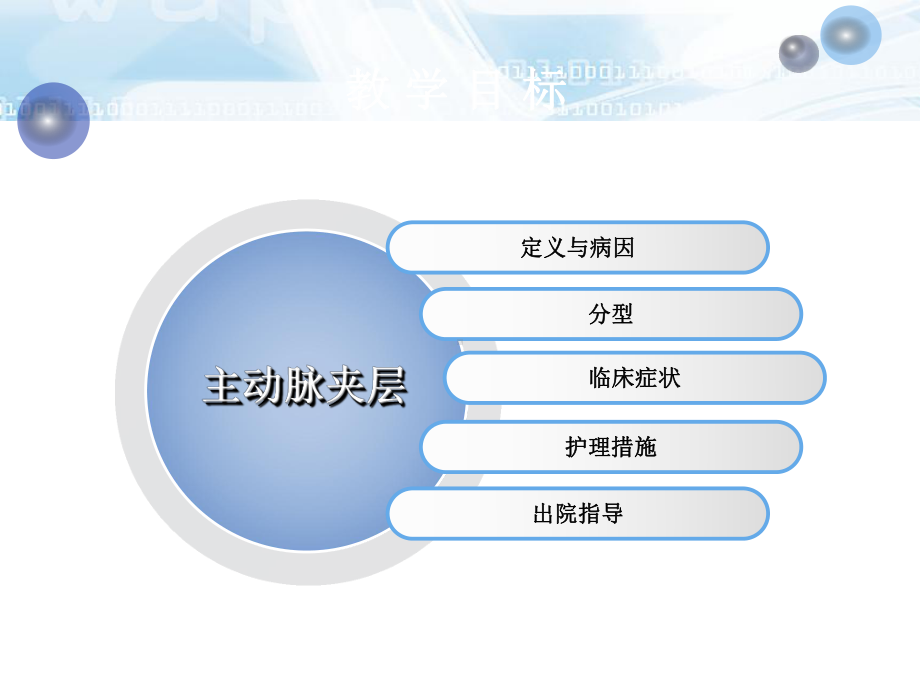 主动脉夹层的护理ppt课件.ppt_第2页