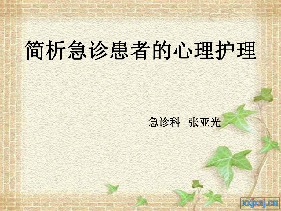 简析急诊患者的心理护理课件.ppt_第1页