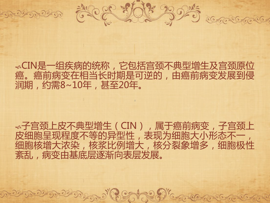 CIN与宫颈健康概要课件.ppt_第3页