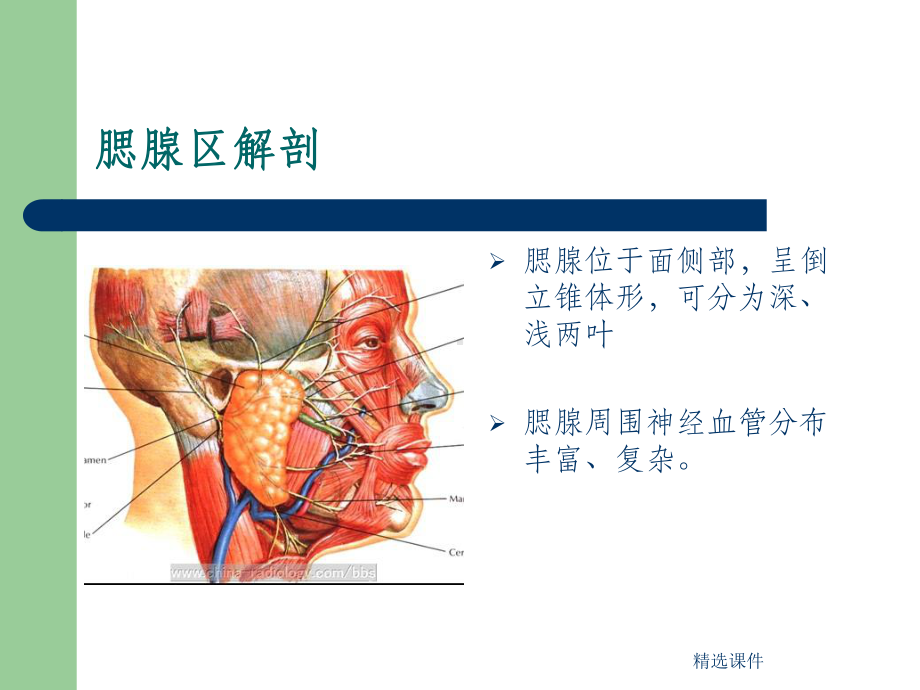 腮腺肿瘤围手术期的护理ppt课件.ppt_第3页