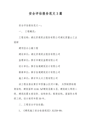 安全评估报告范文3篇.docx