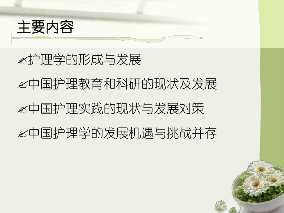 护理学的发展与展望要点课件.ppt_第2页