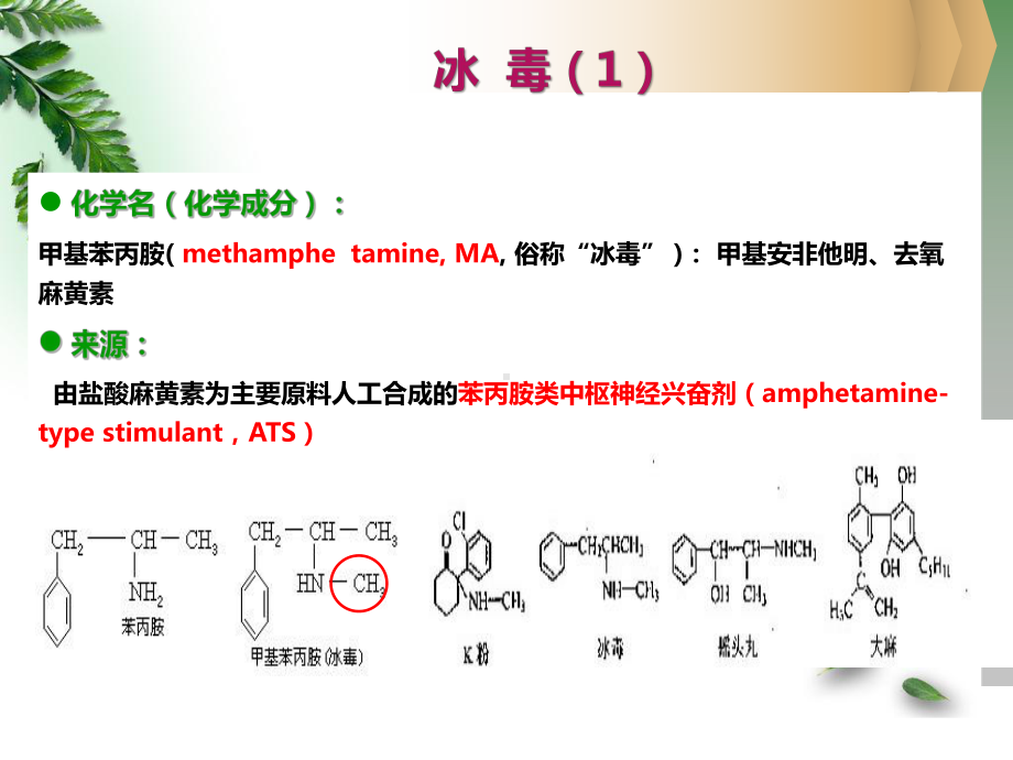 护理查房-改教案指南课件.ppt_第3页