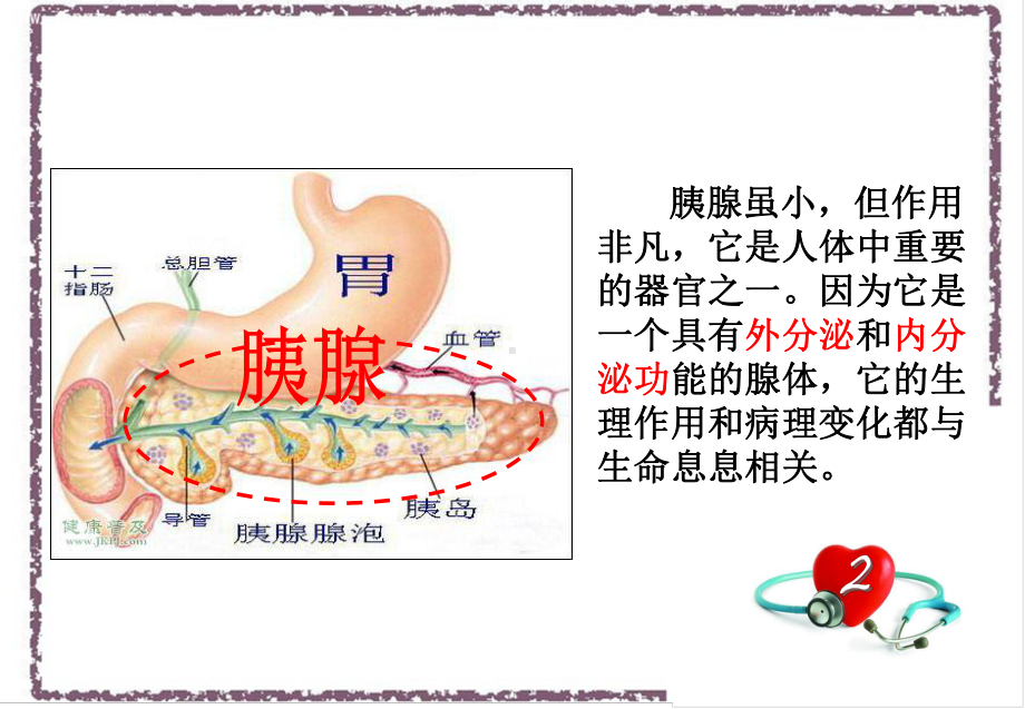 胰腺炎宣传课件.ppt_第2页