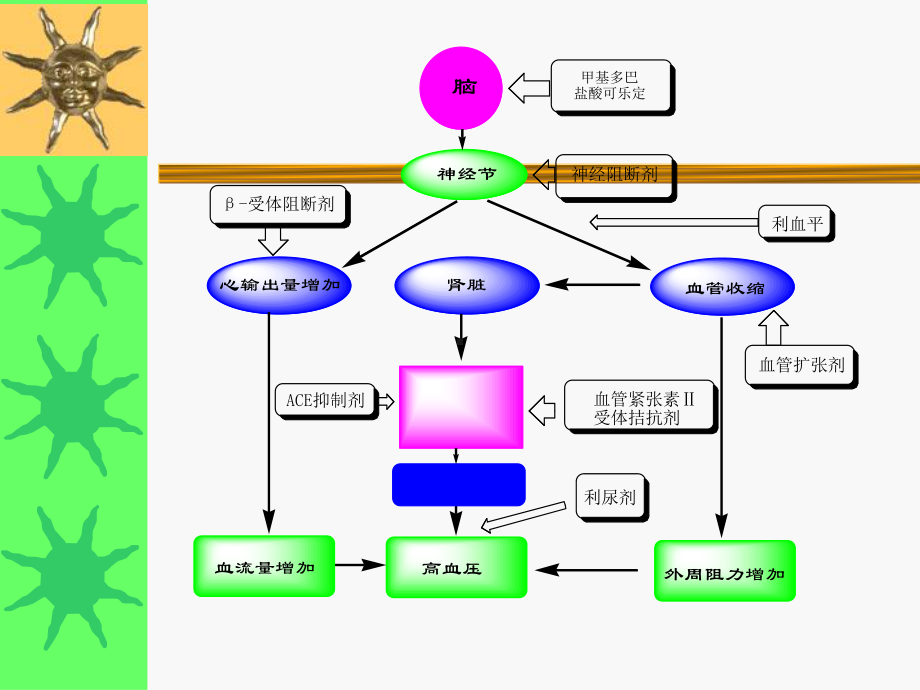 抗高血压药(尤)知识课件.ppt_第2页