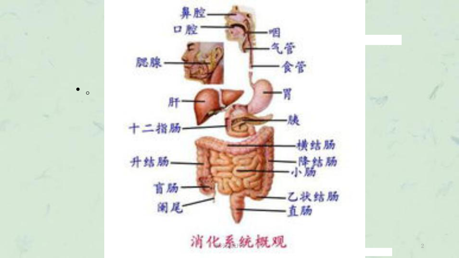 胃肠镜检查前后的护理最新ppt课件.ppt_第2页