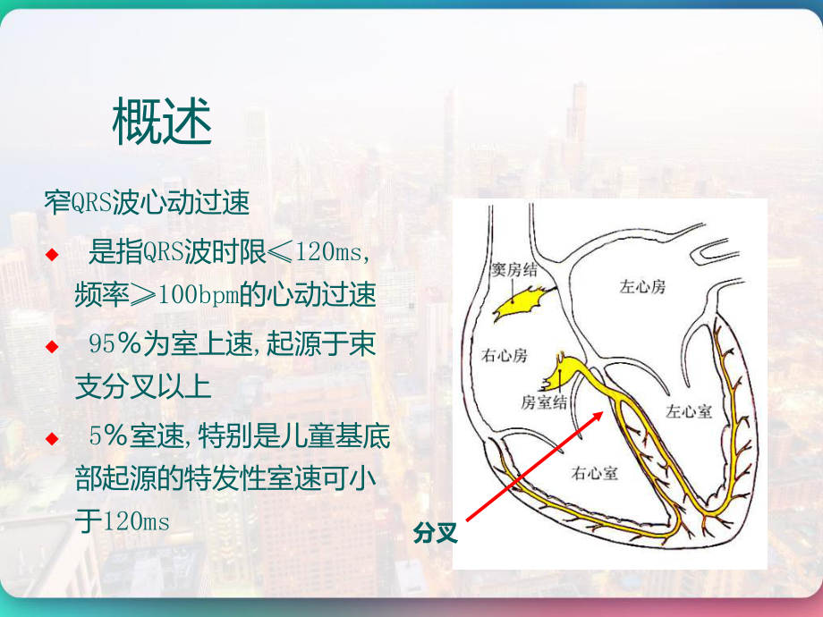 快速性心律失常处理原则-PPT课件.pptx_第3页