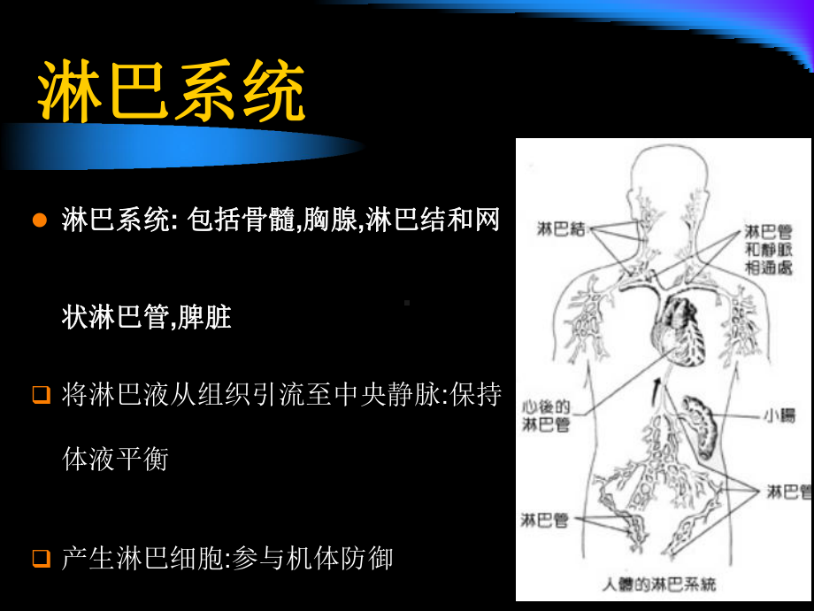 淋巴瘤的诊断和治疗课件.ppt_第2页