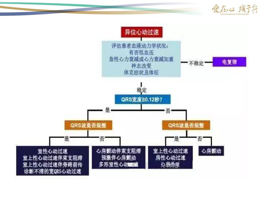 医学心律失常紧急处理原则PPT培训课件.ppt_第3页