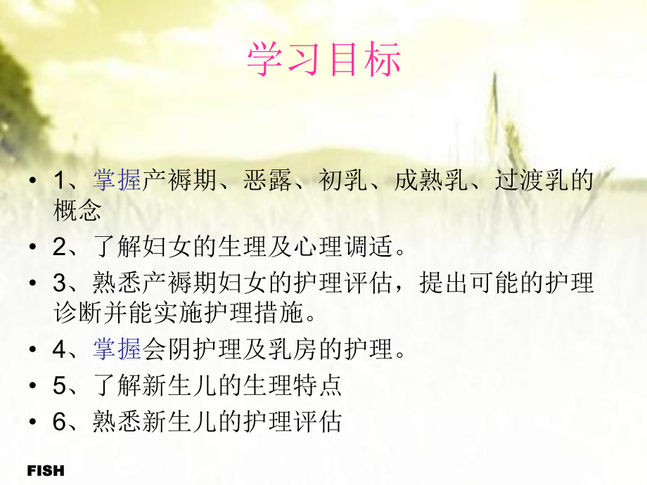 产褥期母婴的护理-PPT课件.ppt_第2页