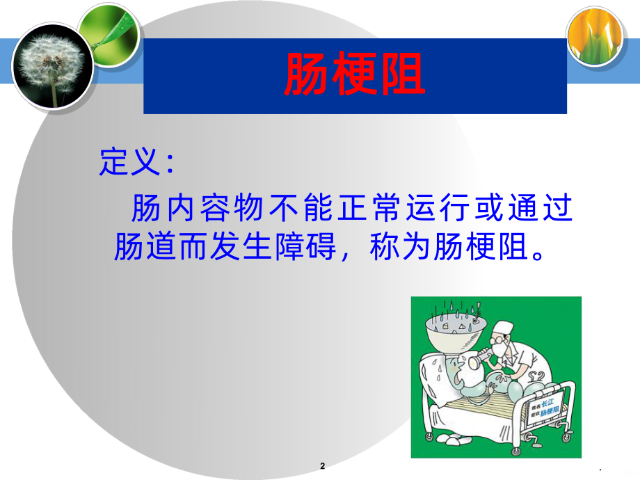 麻痹性肠梗阻查房PPT课件.ppt_第2页