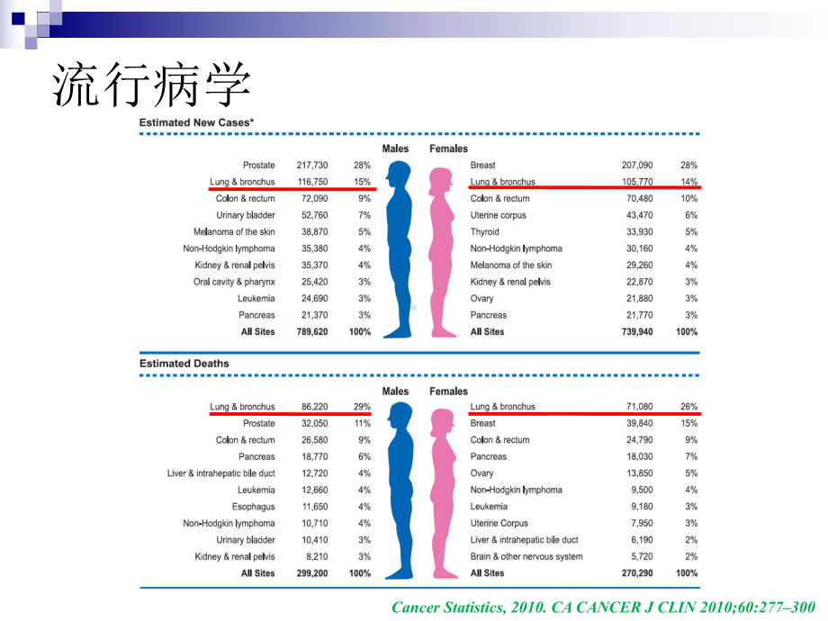 以前的黏液性细支气管肺泡癌课件.ppt_第2页