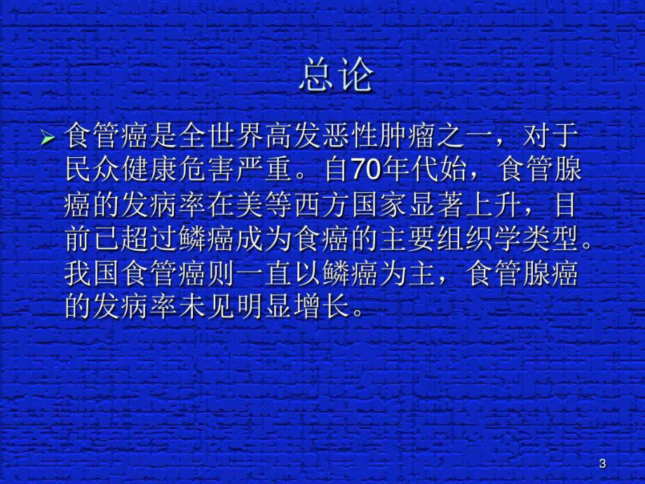 食管癌规范化诊治指南共71页课件.ppt_第3页