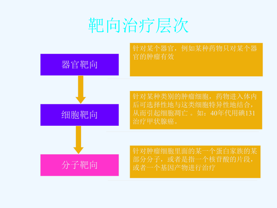 肿瘤靶向治疗基本原理及分类课件.ppt_第2页