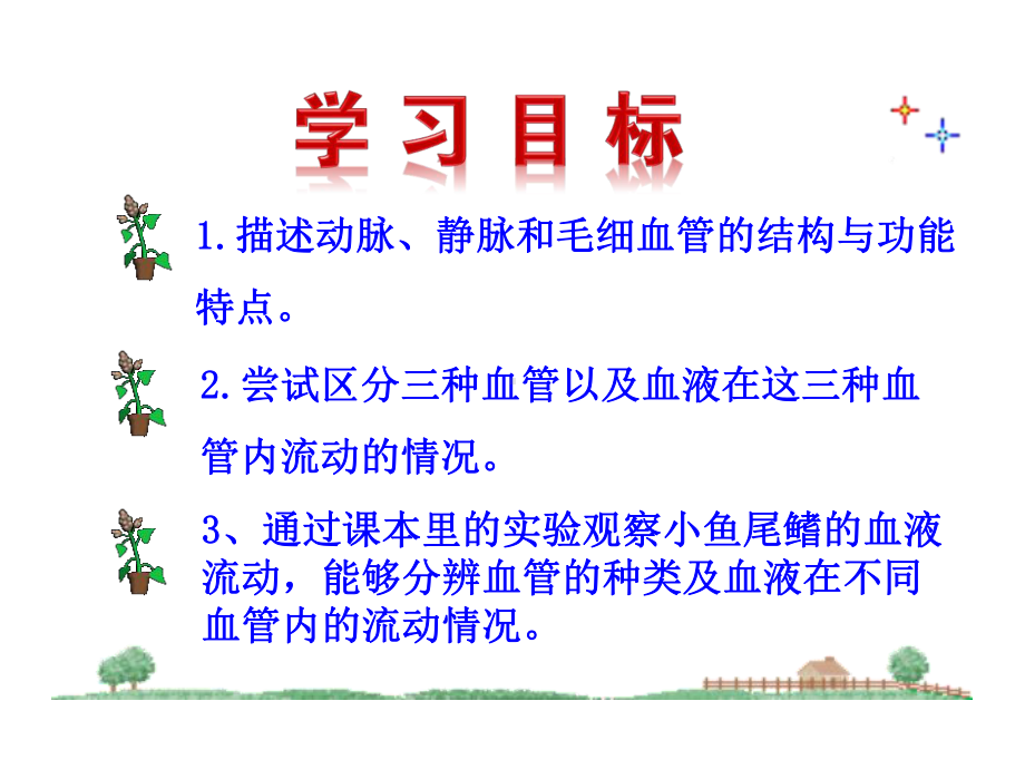 第二节-流动的管道-血管课件.ppt_第2页