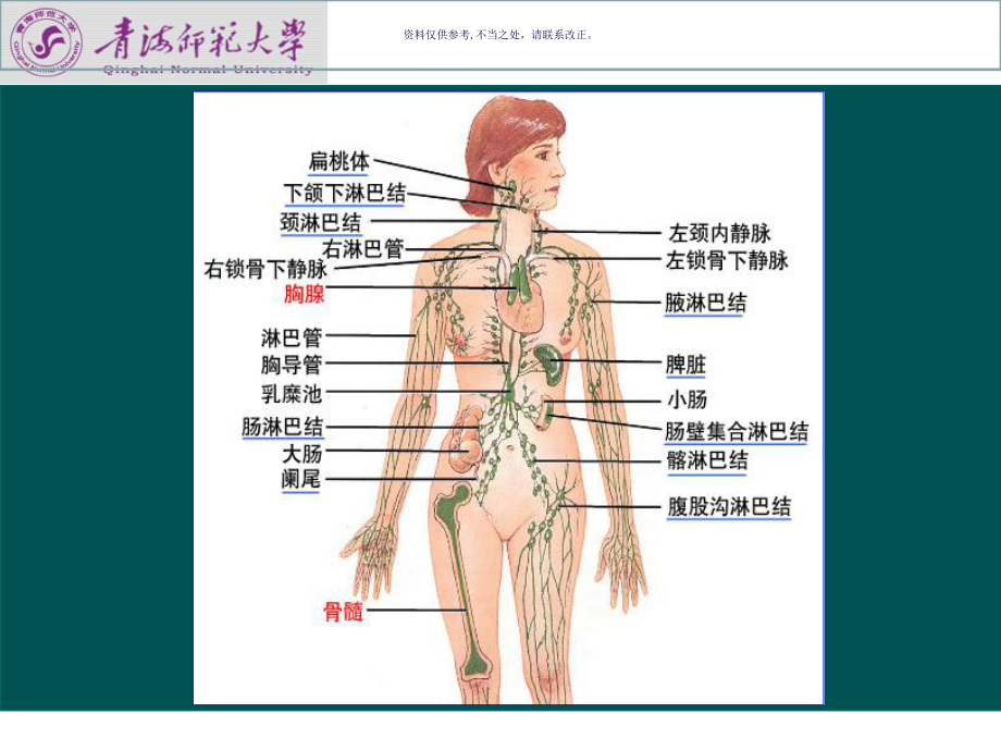 免疫系统医学知识课件.ppt_第2页