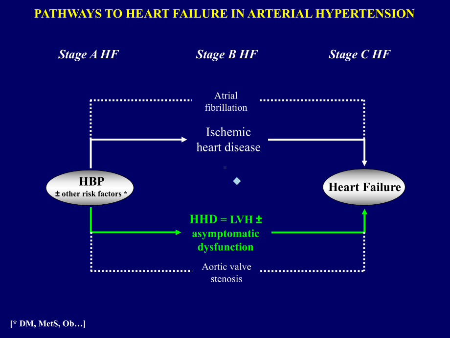 高血压英文PPT精品课件PATHWAYSTOHE.ppt_第2页