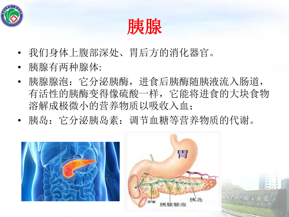 急性胰腺炎健康教育PPT课件.pptx_第3页