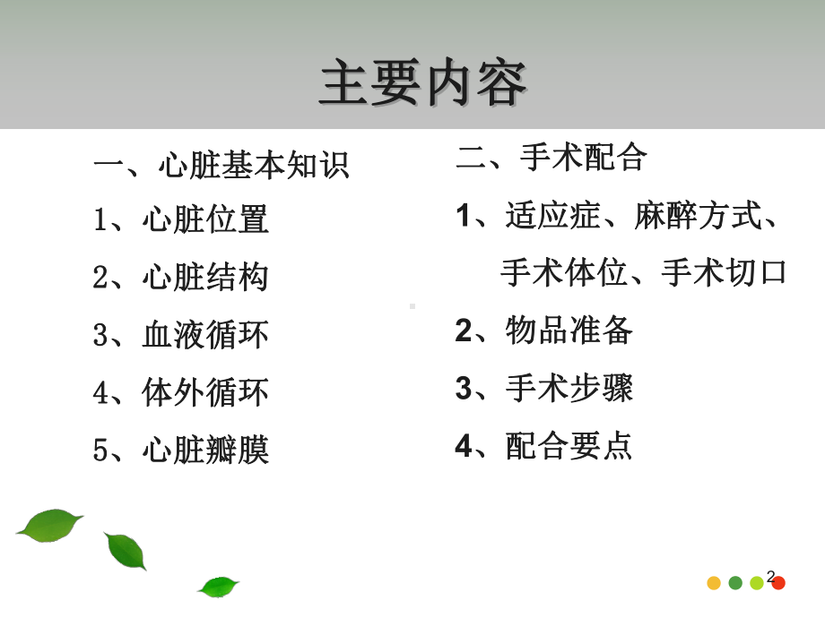 二尖瓣置换手术配合PPT课件.ppt_第2页