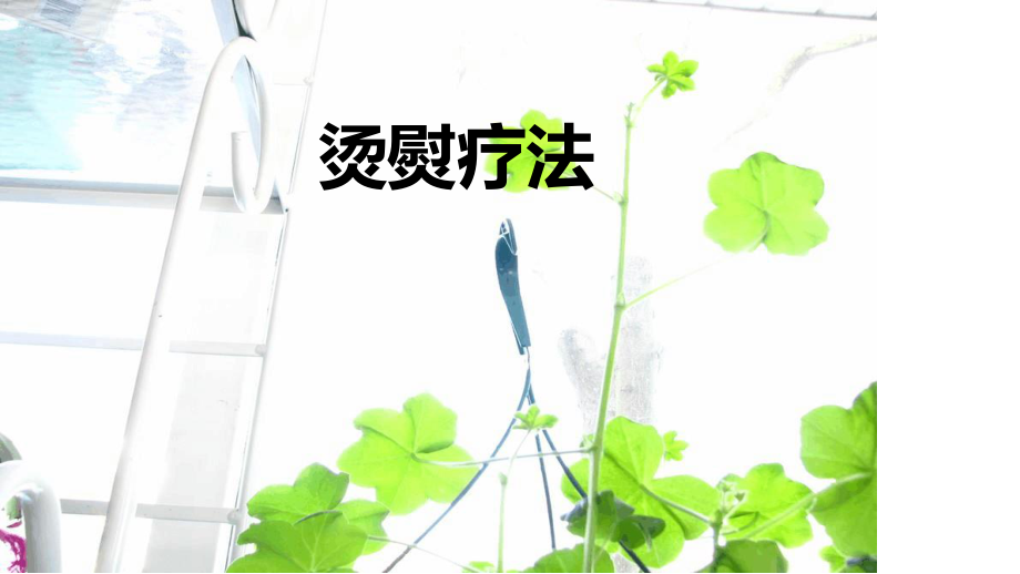 烫熨治疗.ppt课件.ppt_第1页