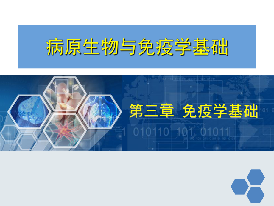 免疫学基础ppt课件.ppt_第2页