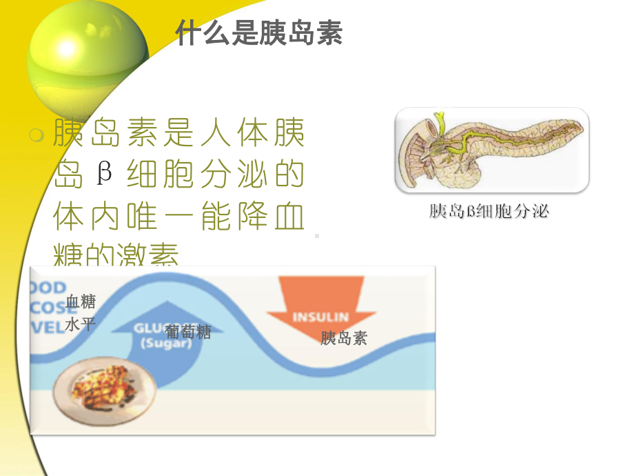 胰岛素注射方法及护理课件.ppt_第3页