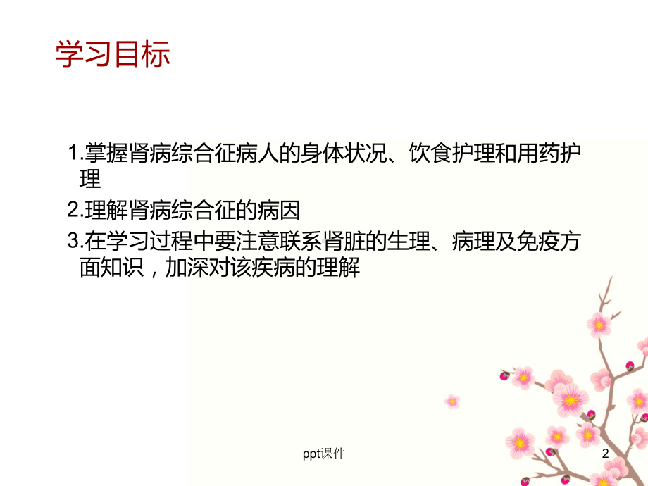 肾病综合征患者的护理-ppt课件.ppt_第2页