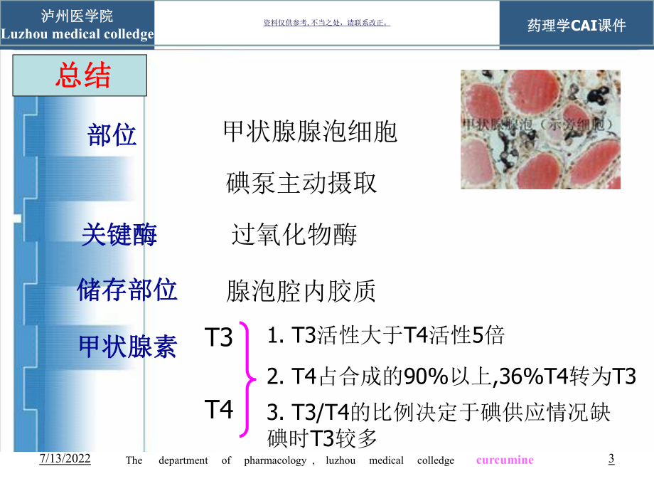 甲状腺激素类药和抗甲状腺药课件.ppt_第3页