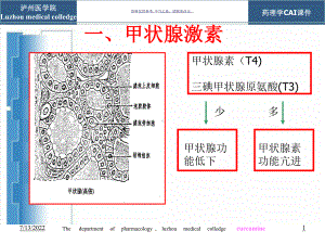 甲状腺激素类药和抗甲状腺药课件.ppt