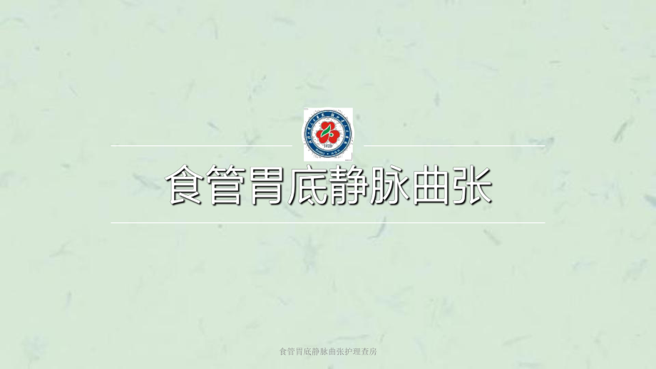 食管胃底静脉曲张护理查房课件.ppt_第1页