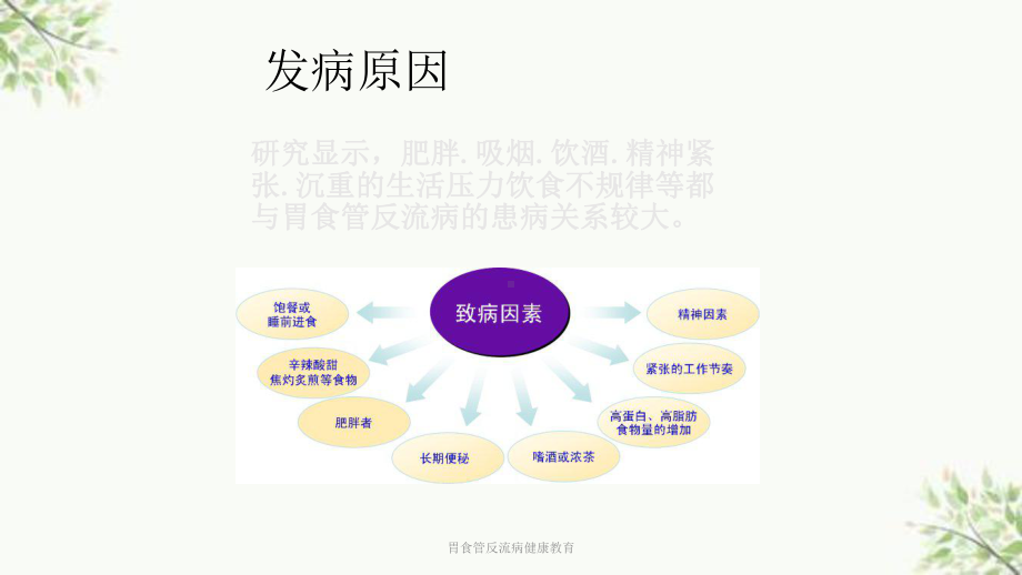 胃食管反流病健康教育课件.ppt_第3页