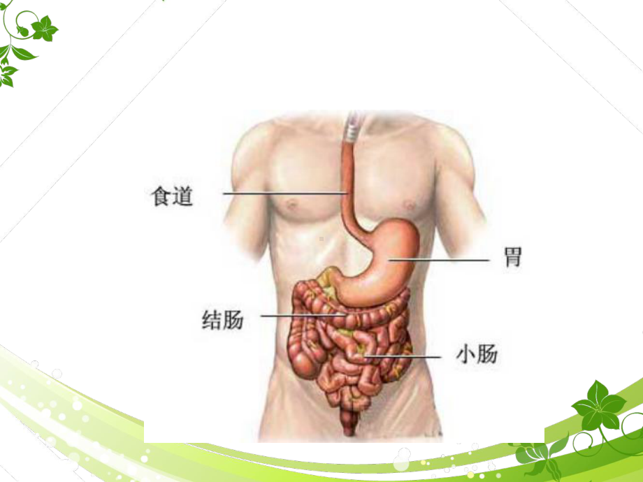 肠梗阻（普外科培训课件）.ppt_第3页