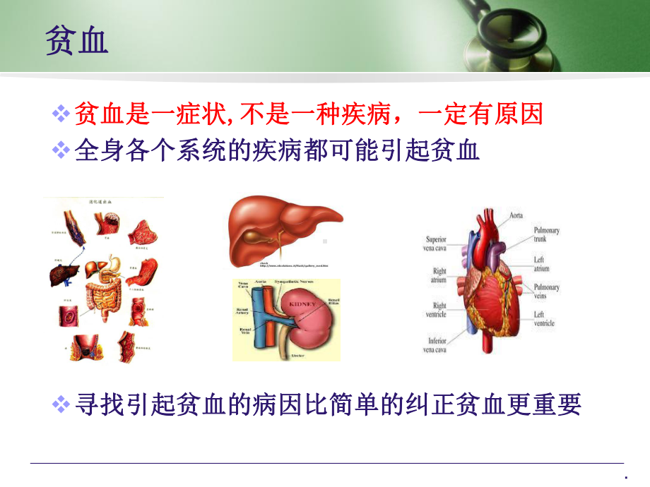 贫血的鉴别诊断课件.ppt_第3页