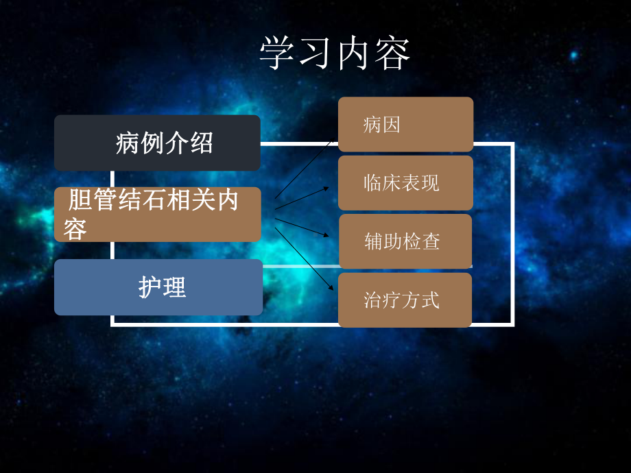 胆管结石护理查房-ppt课件.ppt_第3页