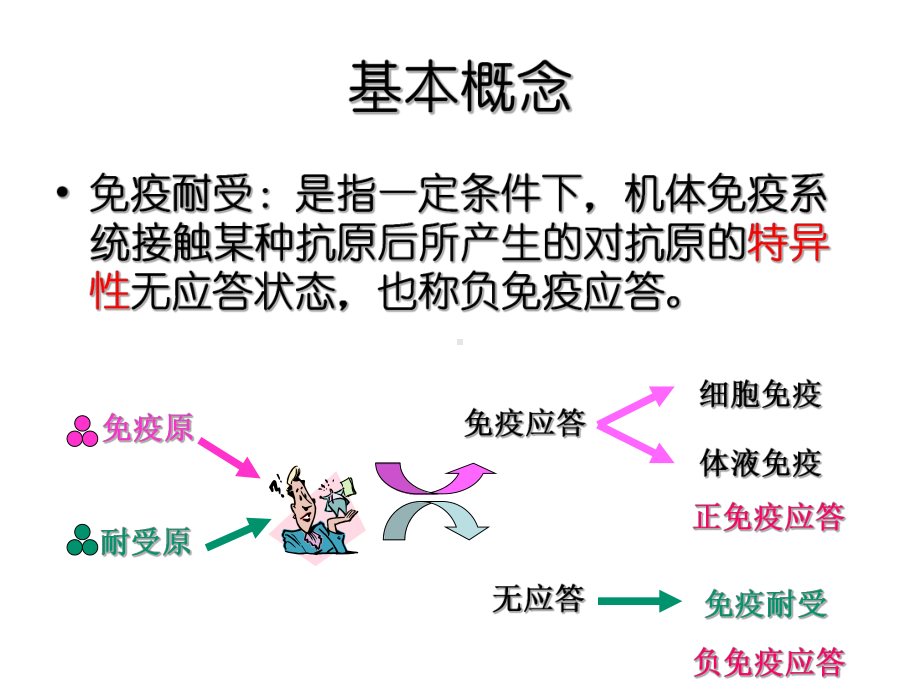 第十一章-免疫耐受-PPT课件.ppt_第3页