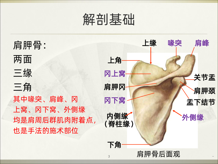 肩周炎的治疗PPT课件.ppt_第3页