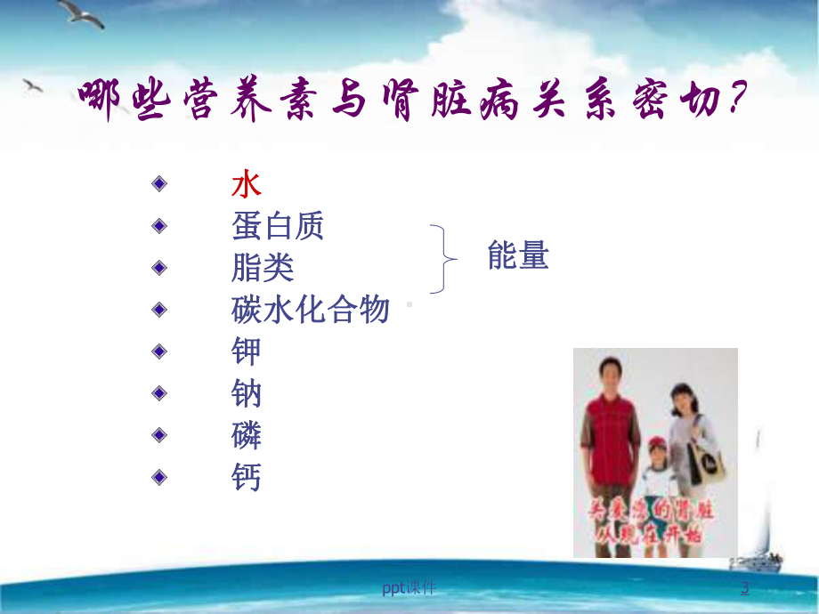 临床营养学-慢性肾衰竭病人的营养支持-ppt课件.ppt_第3页