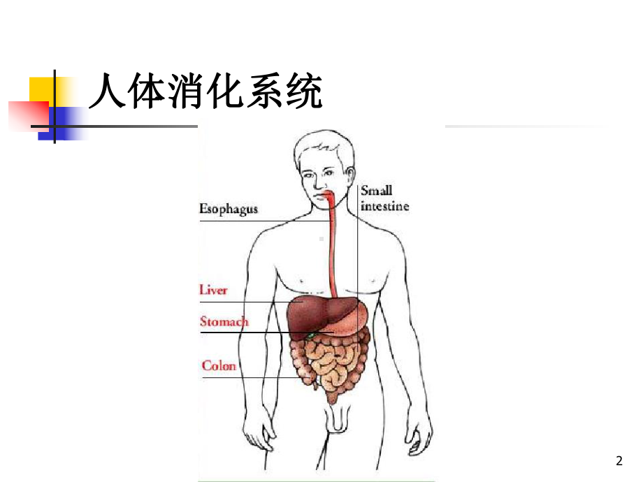 药物化学第五章消化系统药物课件.ppt_第2页